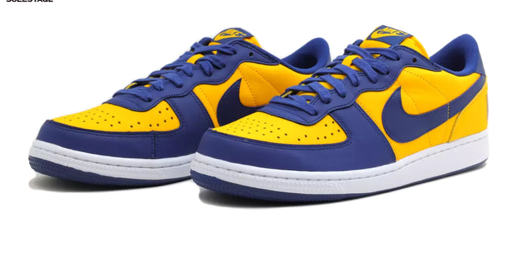 Nike Terminator Low Michigan Wolverines 2023 (FJ4206-700) Men's Size 10.5. Only 1 pair left