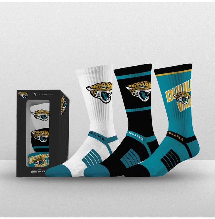 NFL Jacsonville Jaguars