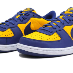 Nike Terminator Low Michigan Wolverines 2023 (FJ4206-700) Men's Size 10.5. Only 1 pair left